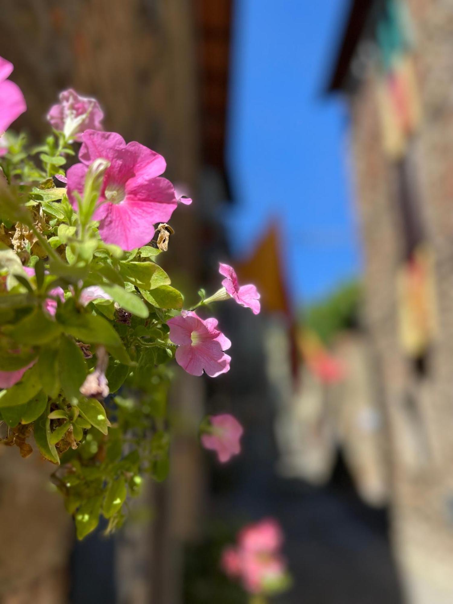 فيلا La Casa In Castello Ambra المظهر الخارجي الصورة