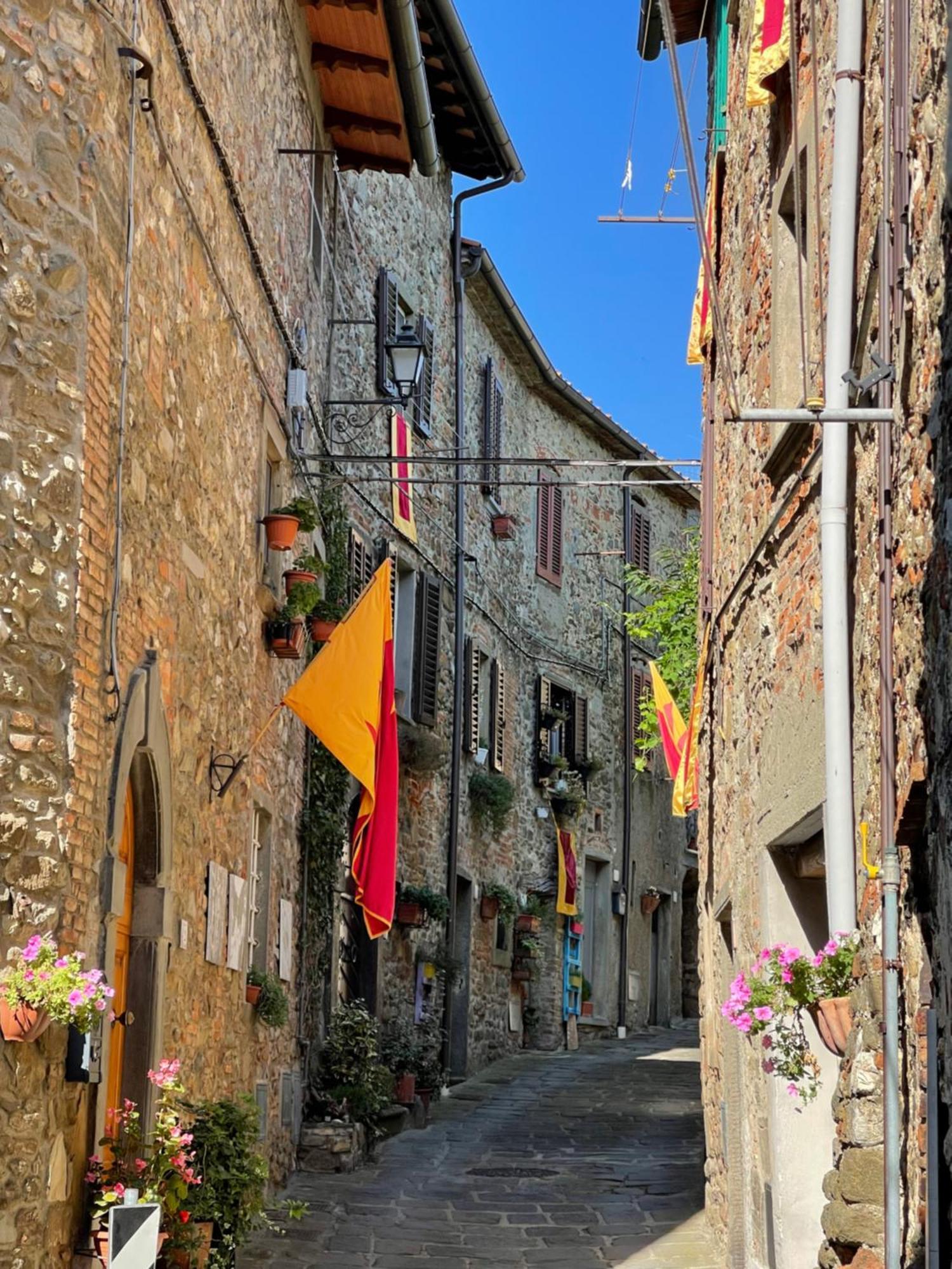 فيلا La Casa In Castello Ambra المظهر الخارجي الصورة